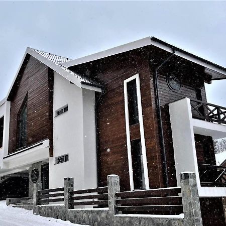 Casa Larisa - Wolves Apartment ซินายา ภายนอก รูปภาพ