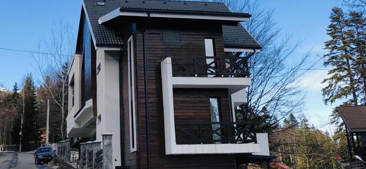 Casa Larisa - Wolves Apartment ซินายา ภายนอก รูปภาพ