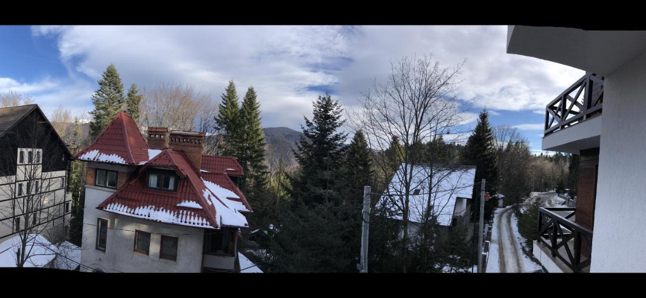 Casa Larisa - Wolves Apartment ซินายา ภายนอก รูปภาพ