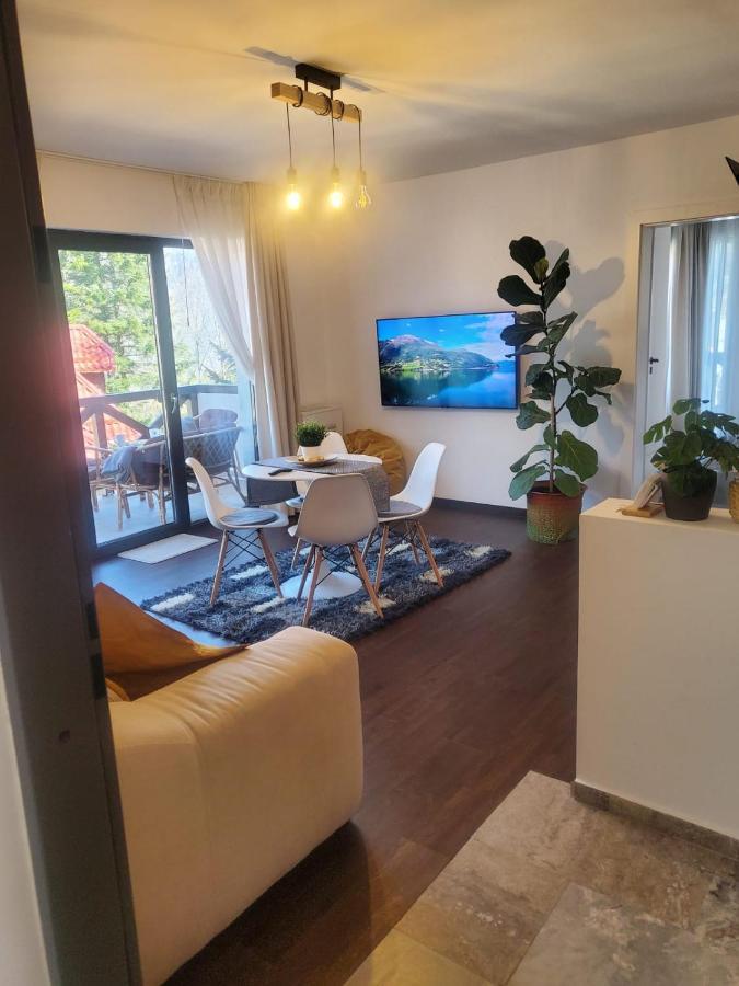 Casa Larisa - Wolves Apartment ซินายา ภายนอก รูปภาพ