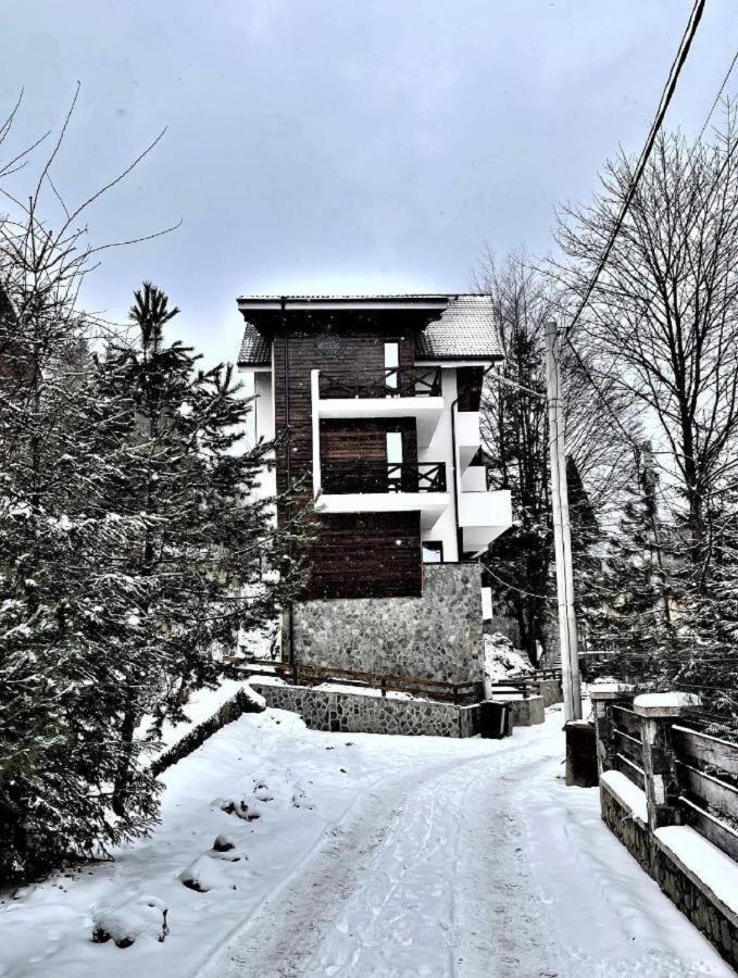 Casa Larisa - Wolves Apartment ซินายา ภายนอก รูปภาพ