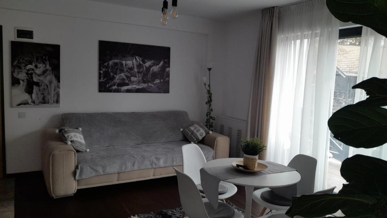 Casa Larisa - Wolves Apartment ซินายา ภายนอก รูปภาพ