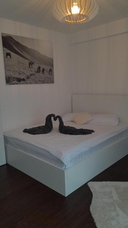 Casa Larisa - Wolves Apartment ซินายา ภายนอก รูปภาพ