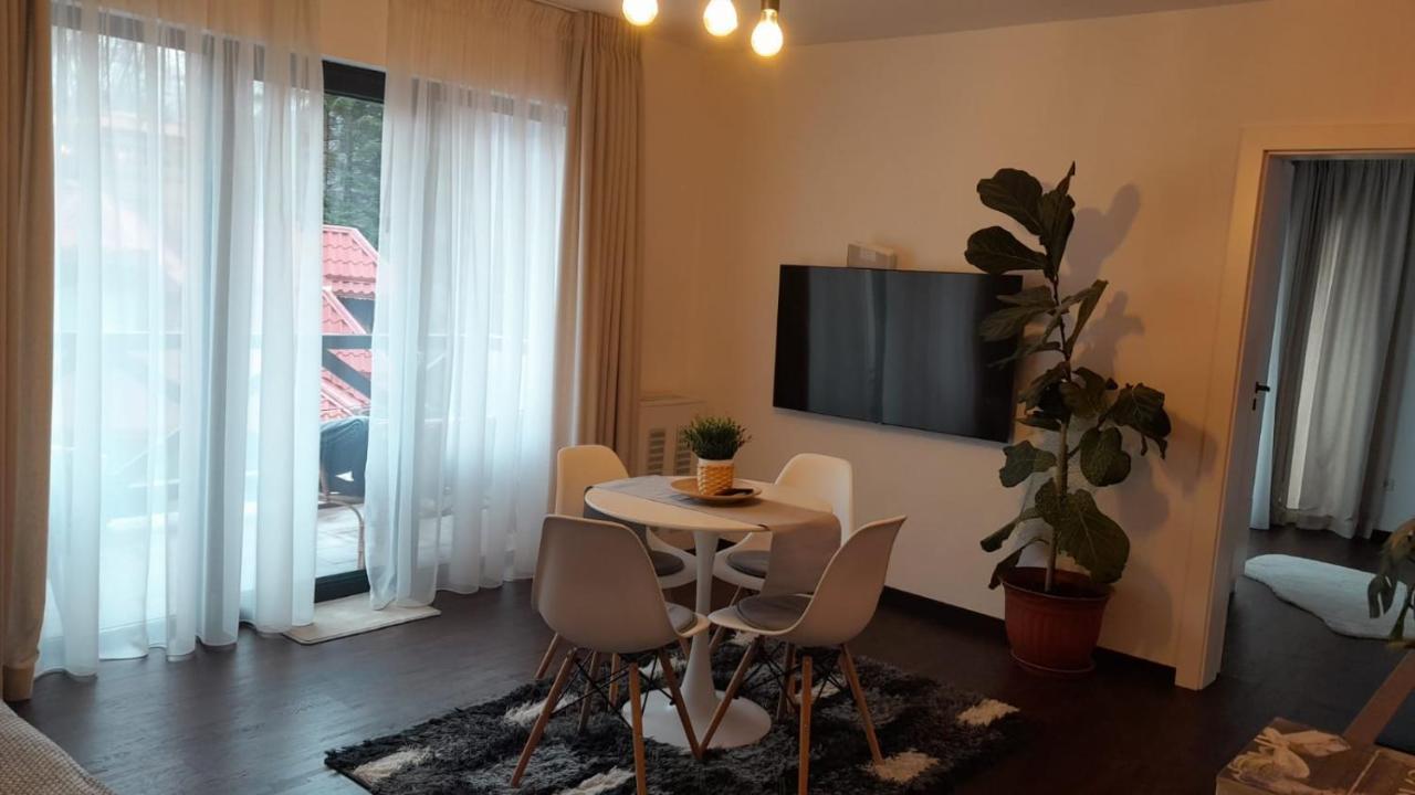 Casa Larisa - Wolves Apartment ซินายา ภายนอก รูปภาพ